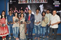 Madhumati Movie Audio Release